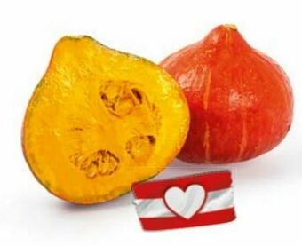 Hofer Bio-Kürbis Angebot