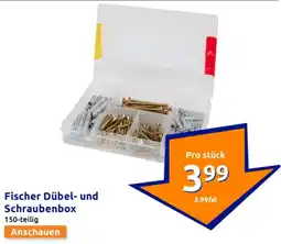 Action Fischer Dübel- und Schraubenbox Angebot