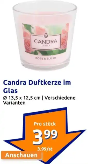 Action Candra Duftkerze im Glas Angebot