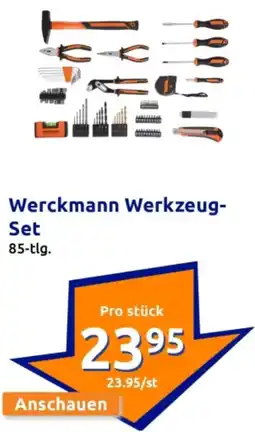 Action Werckmann Werkzeug- Set Angebot