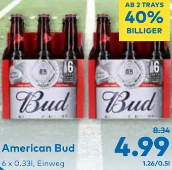 T&G American Bud Angebot