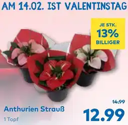 T&G Anthurien Strauß Angebot