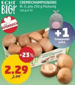 PENNY Cremechampignons Angebot