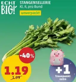 PENNY Stangensellerie Angebot