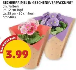 PENNY Becherprimel in geschenkverpackung Angebot