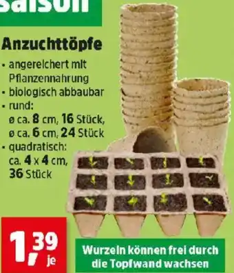 Thomas Philipps Anzuchttöpfe Angebot