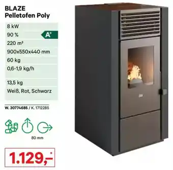 Lagerhaus Graz Land BLAZE Pelletofen Poly Angebot