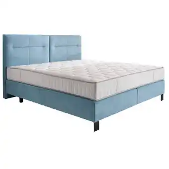 XXXLutz BOXSPRINGBETT 2638016103 XXXLutz Angebot