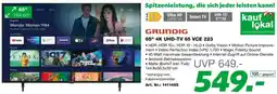 EP 65" 4K UHD-TV 65 VCE 223 Angebot