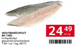 Transgourmet Wolfsbarschfilet Angebot