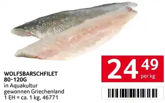 Transgourmet Wolfsbarschfilet Angebot