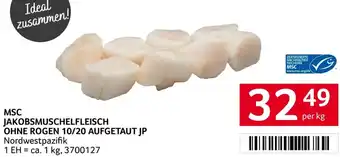 Transgourmet Msc jakobsmuschelfleisch ohne rogen 10/20 aufgetaut jp Angebot