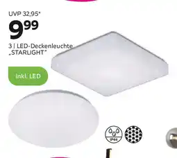 Mömax Led „starlight" Angebot