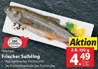 Lidl Frischer Saibling Angebot