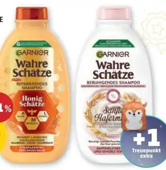 PENNY Garnier Wahre Schätze Shampoo Angebot