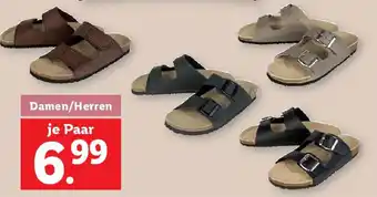 Lidl Damen/Herren Angebot