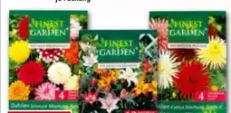 Norma Finest Garden Blumenzwiebel-Mischung Angebot