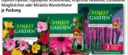 Norma Finest Garden Blumenzwiebeln Angebot