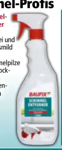 Norma Baufix Schimmelentferner Angebot