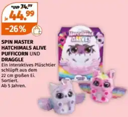 Müller Spin master hatchimals alive pufficorn und draggle Angebot