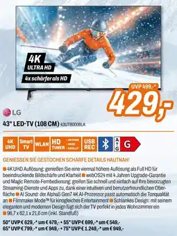 Expert LG 43" LED-TV Angebot