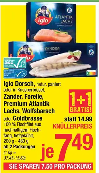 Maximarkt Iglo Dorsch Angebot