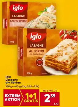 Billa Iglo Lasagne Angebot