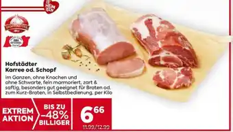 Billa Hofstädter Karree od. Schopf Angebot