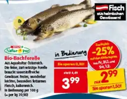 Interspar Natur pur Bio-Bachforelle Angebot