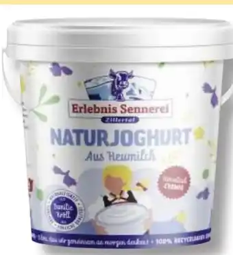 MPreis Erlebnis Sennerei Zillertal Naturjoghurt Angebot