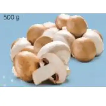 Hofer Champignons weiß oder braun HOFER Angebot