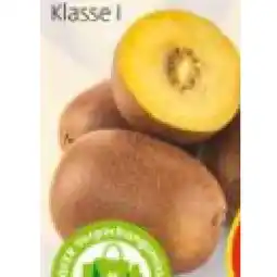 Hofer Kiwi Gold HOFER Angebot