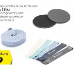 Hofer Power-Fitnessband div. Sorten HOFER Angebot