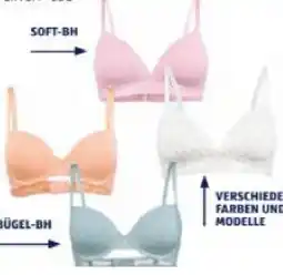 Hofer Damen-BH versch. Farben und Modelle HOFER Angebot