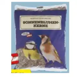 Hofer Sonnenblumenkerne HOFER Angebot