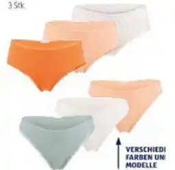 Hofer Damen-Slips versch. Farben und Modelle HOFER Angebot