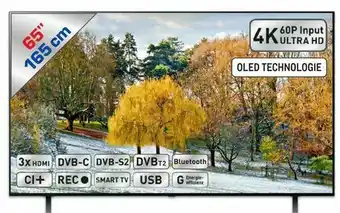 Metro OLED-TV OLED65A19LA Angebot