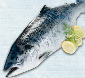 Metro Lachs Angebot