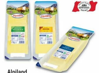 Metro Käsescheiben Angebot