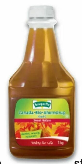 Metro Ahornsirup Angebot