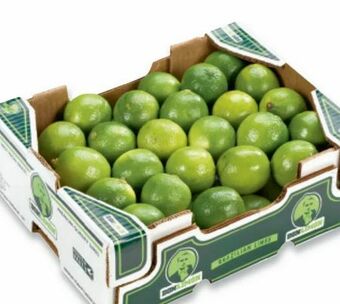 Metro Limetten Angebot