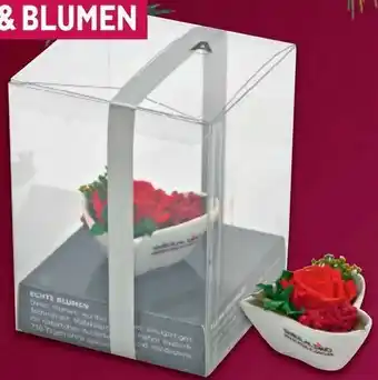 Metro Rosen Gestecke Angebot