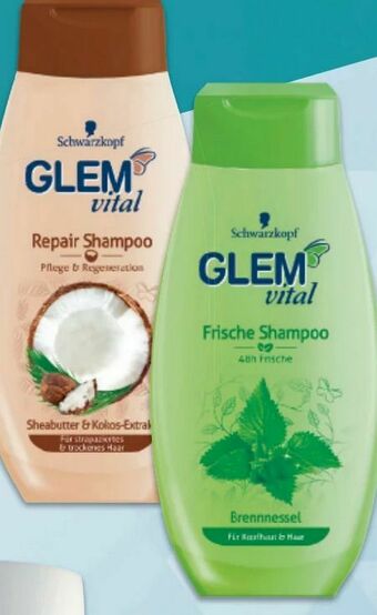 Metro Glem Vital Shampoo Angebot