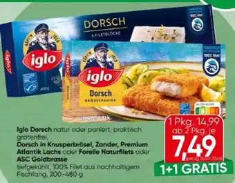 Spar Iglo Dorsch Angebot