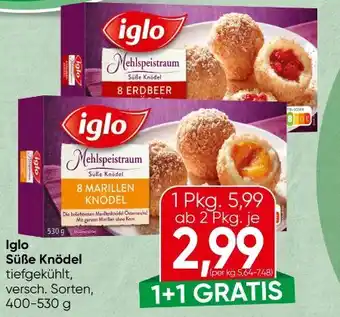 Spar Iglo Süße Knödel Angebot