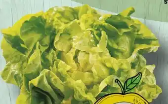 Spar Kopfsalat Angebot