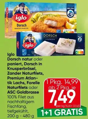 Eurospar Iglo Dorsch Angebot