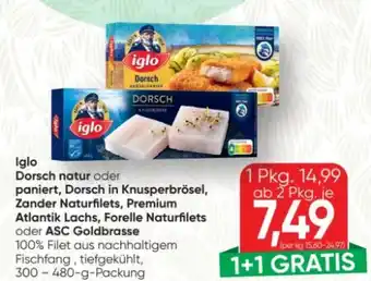 SPAR Gourmet Iglo Dorsch Natur Angebot