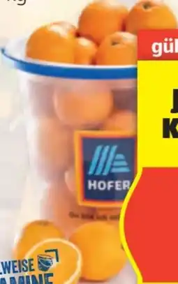 Hofer Hofer Marktplatz Orangen Angebot