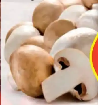 Hofer Hofer Marktplatz Champignons Angebot